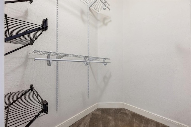 8600 Cima Oak Ln Unit A15, Austin, TX 78759 - walk in closet featuring carpet