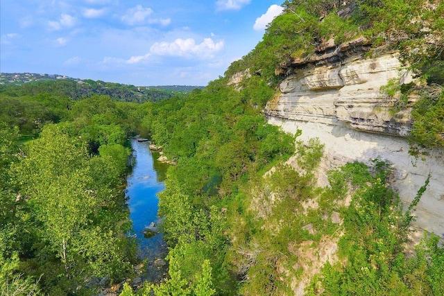 1707 Spyglass Dr Unit 41, Austin, TX 78746 - bird's eye view of a forest