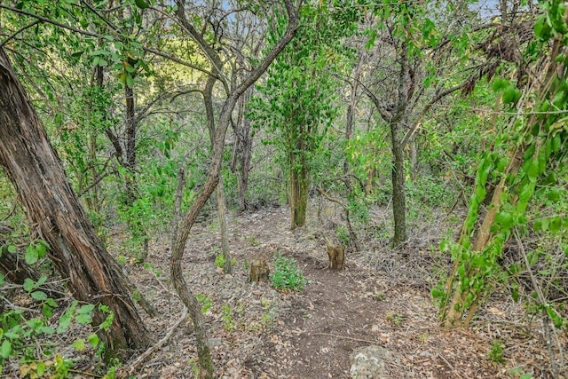 1707 Spyglass Dr Unit 41, Austin, TX 78746 - view of undeveloped land