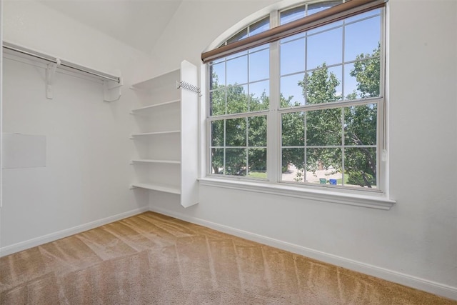 3126 Fiorellino Pl, Cedar Park, TX 78613 - spacious closet with carpet