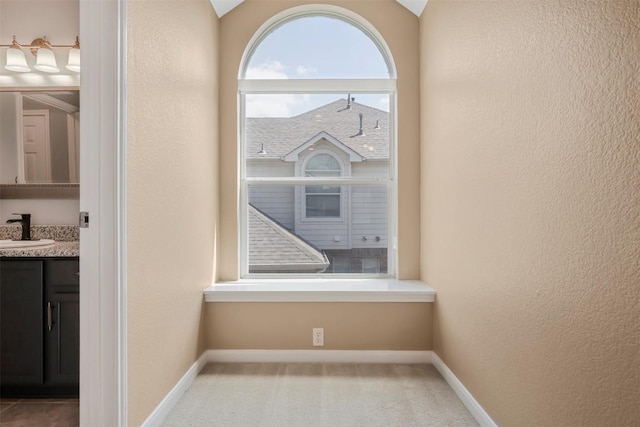 3126 Fiorellino Pl, Cedar Park, TX 78613 - detailed view of carpet flooring and a textured wall