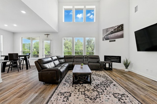 216 Tovas Secret Cv, Georgetown, TX 78628 - living area featuring wood finished floors, recessed lighting, a glass covered fireplace, and a towering ceiling