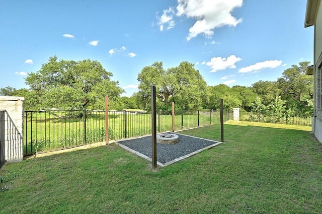 216 Tovas Secret Cv, Georgetown, TX 78628 - view of fenced backyard