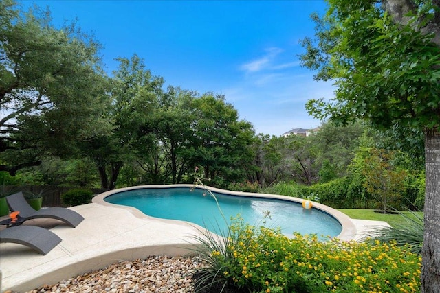 12464 Fairfax Ridge Pl, Austin, TX 78738 - outdoor pool with a patio
