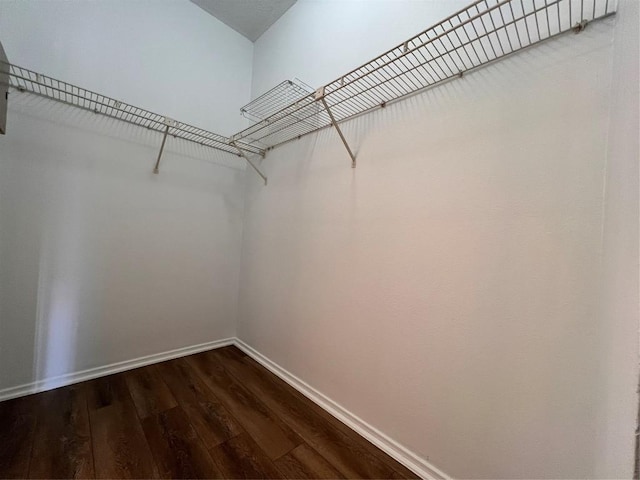 12166 Metric Blvd Unit 243, Austin, TX 78758 - walk in closet featuring dark wood finished floors