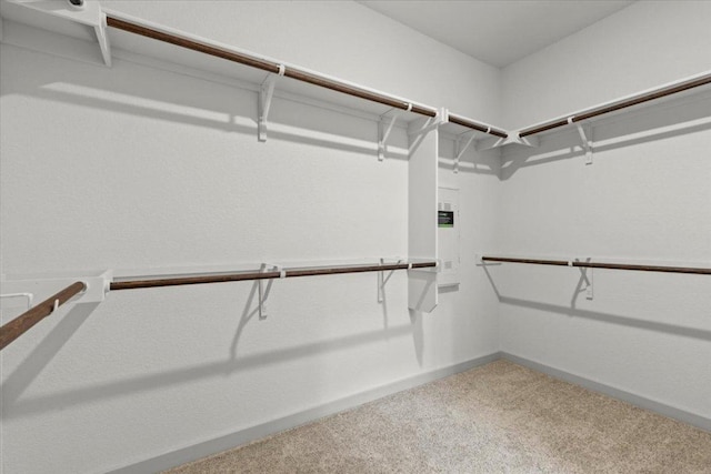 10708 Defender Trl, Austin, TX 78754 - spacious closet with carpet