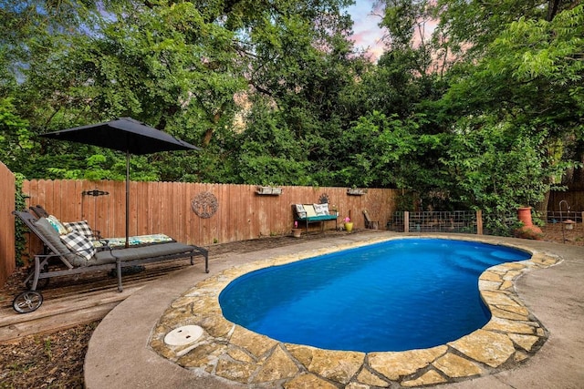 1149 Hyde Park Dr, Round Rock, TX 78665 - view of swimming pool featuring a fenced backyard and a patio area