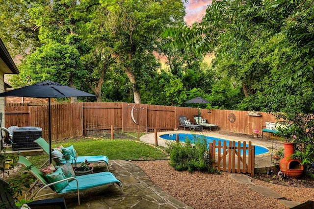 1149 Hyde Park Dr, Round Rock, TX 78665 - view of pool featuring a patio and a fenced backyard