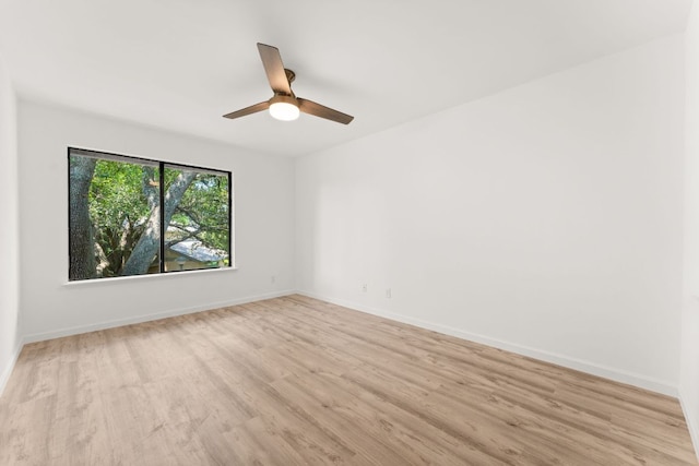 903 Silver Quail Ln, Austin, TX 78758 - empty room featuring light wood-style floors and ceiling fan