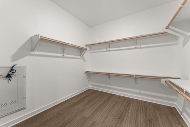 4361 S Congress Ave Unit 514, Austin, TX 78745 - walk in closet with wood finished floors