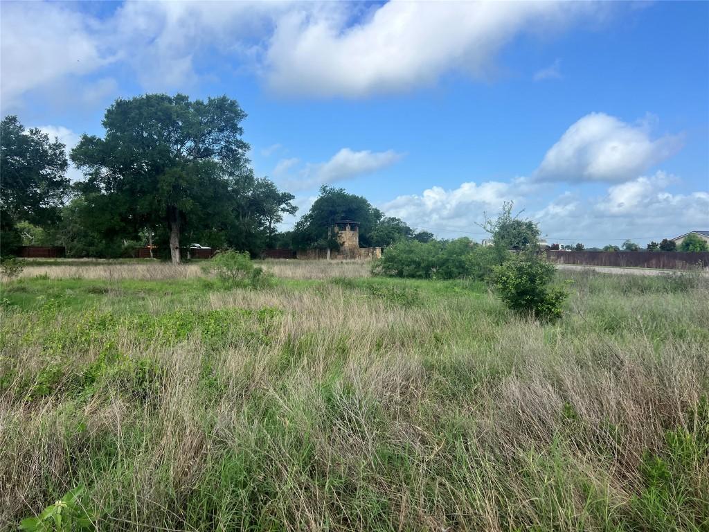 175 Cassena Rnch, Bastrop, TX 78602 - photo 2