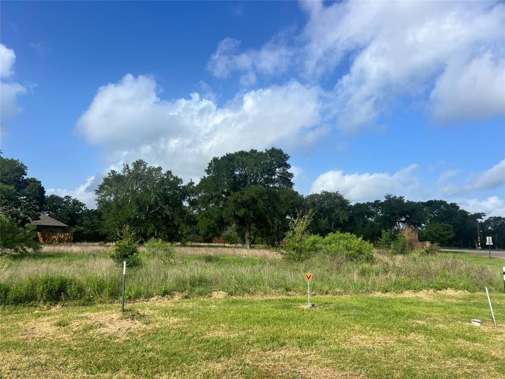 175 Cassena Rnch, Bastrop, TX 78602 - photo 3