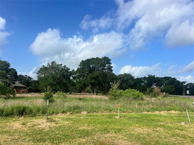 175 Cassena Rnch, Bastrop, TX 78602 - photo 3