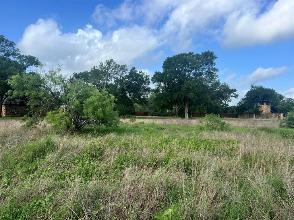 175 Cassena Rnch, Bastrop, TX 78602 - photo 4