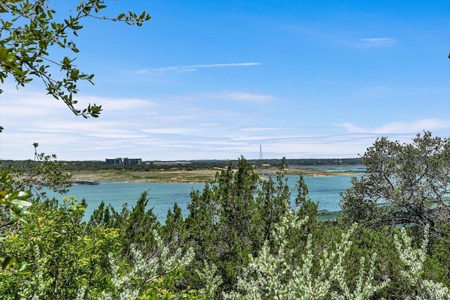 6608 Lantern View Dr Unit 102, Jonestown, TX 78645 - water view