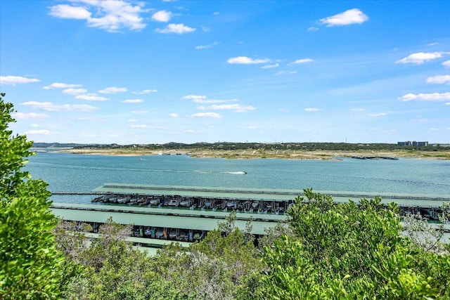6608 Lantern View Dr Unit 102, Jonestown, TX 78645 - water view