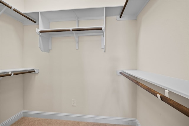 600 C-Bar Ranch Trl Unit 108, Cedar Park, TX 78613 - spacious closet with carpet floors