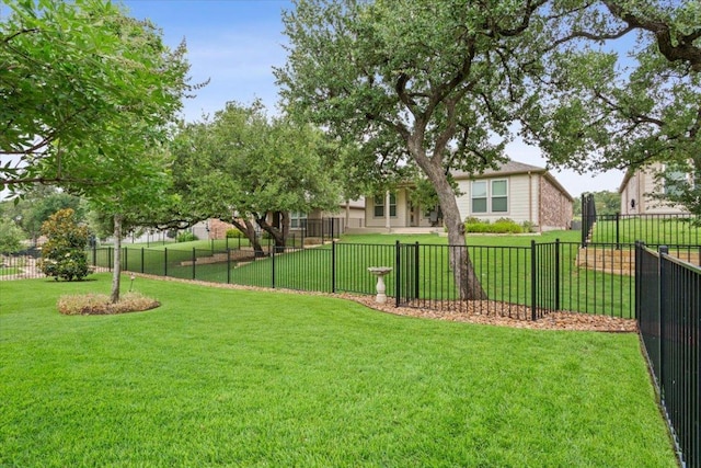 202 Iron Rail Ln, Georgetown, TX 78633 - view of yard