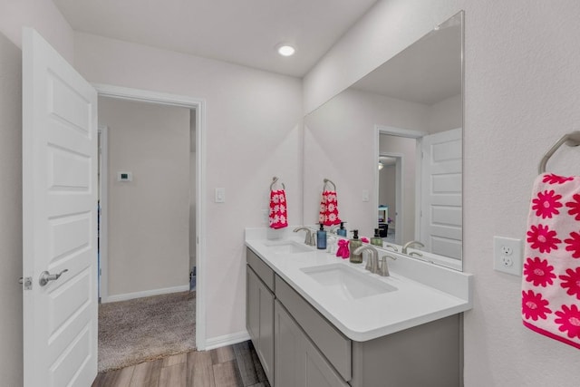 133 Fairmeadow Downs Dr, Hutto, TX 78634 - full bath with double vanity and wood finished floors