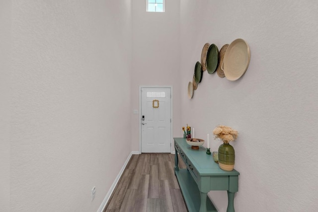 133 Fairmeadow Downs Dr, Hutto, TX 78634 - entryway featuring a towering ceiling and wood finished floors
