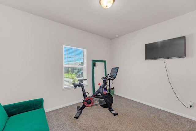 133 Fairmeadow Downs Dr, Hutto, TX 78634 - workout room featuring carpet floors and baseboards