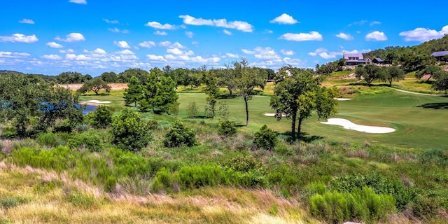 174 Putting Park Dr, Fredericksburg, TX 78624 - view of nature featuring a golf course