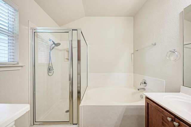 486 Nottingham Loop, Kyle, TX 78640 - full bathroom featuring plenty of natural light, a shower stall, vanity, and lofted ceiling