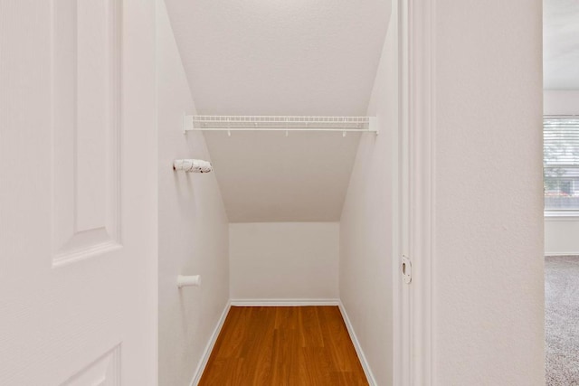2733 Crimson Sky Ct, Round Rock, TX 78665 - view of closet