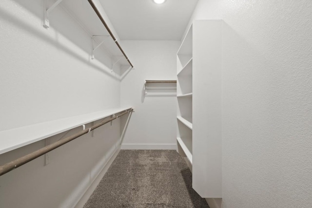 18017 Prato Dr, Pflugerville, TX 78660 - spacious closet featuring carpet