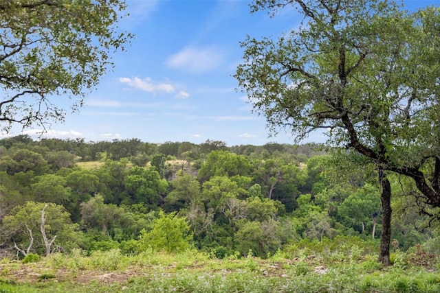 Lot7-24525 Pedernales Canyon Trail 7, Spicewood, TX 78669
