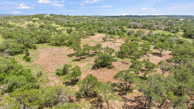 Lot7-24525 Pedernales Canyon Trail 7, Spicewood, TX 78669