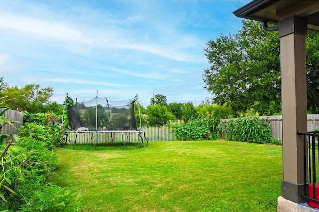 2471 Sunrise Rd Unit 35, Round Rock, TX 78664 - fenced backyard featuring a trampoline