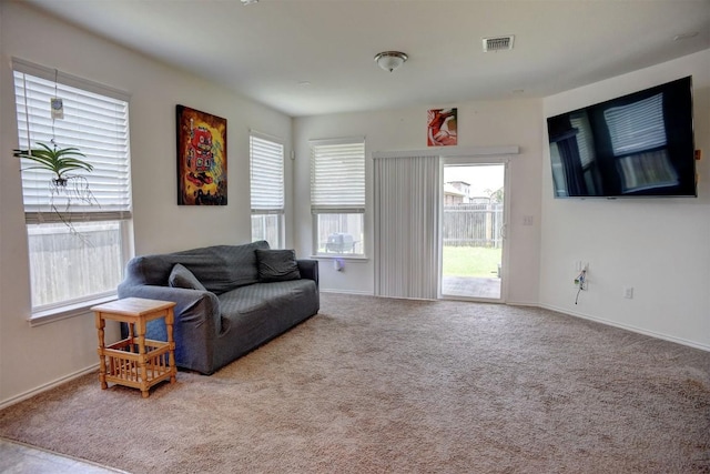 1928 Dragonfly Loop, Bastrop, TX 78602 - living room featuring plenty of natural light and carpet