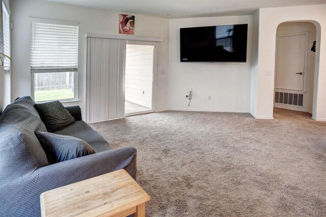 1928 Dragonfly Loop, Bastrop, TX 78602 - carpeted living room featuring arched walkways and baseboards