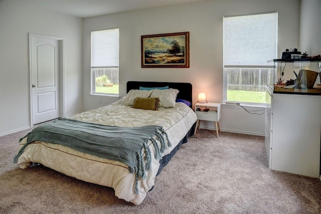 1928 Dragonfly Loop, Bastrop, TX 78602 - bedroom with carpet floors and multiple windows