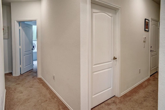 1928 Dragonfly Loop, Bastrop, TX 78602 - corridor with light colored carpet and baseboards