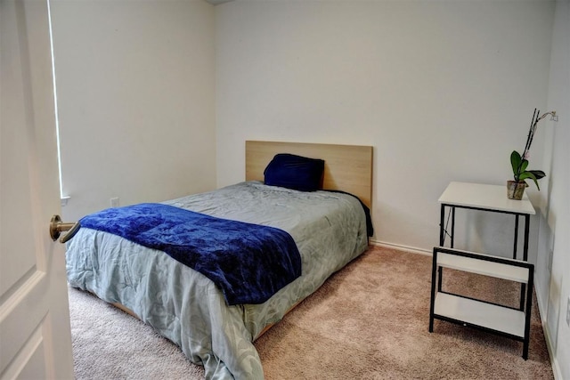 1928 Dragonfly Loop, Bastrop, TX 78602 - view of carpeted bedroom