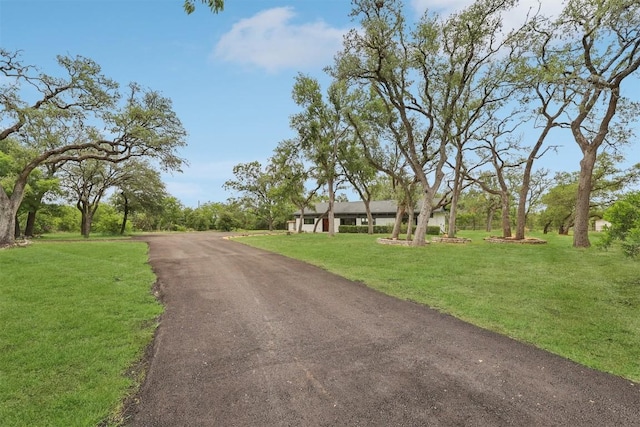 6719 Ridge Oak Rd, Austin, TX 78749 - photo 2