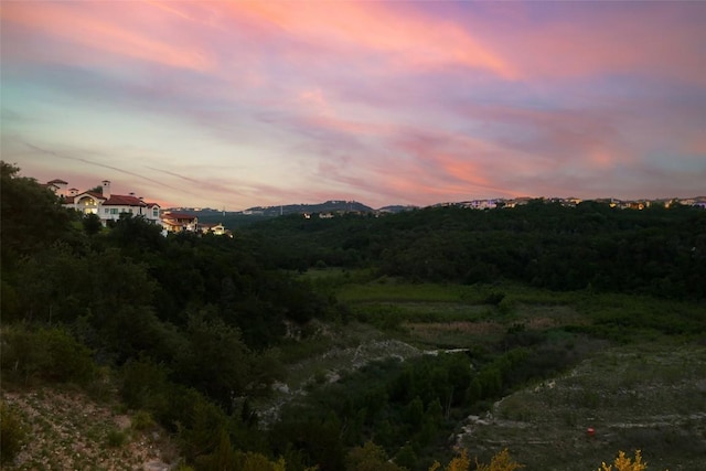 303 Marina View Ct Unit 23A, Austin, TX 78734 - mountain view