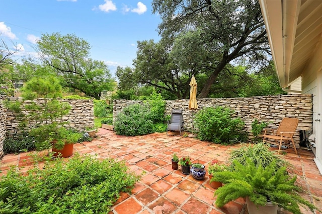 1209 Clearfield Dr, Austin, TX 78758 - view of patio / terrace