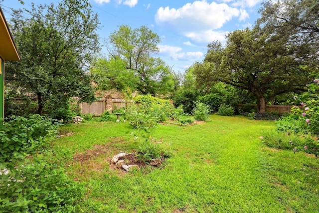1209 Clearfield Dr, Austin, TX 78758 - view of yard