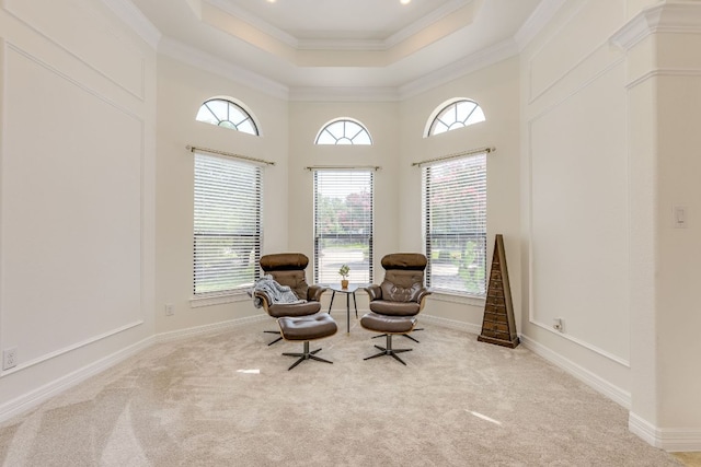 1003 Overlook Bnd, Leander, TX 78641 - sitting room featuring a tray ceiling, carpet floors, and ornamental molding