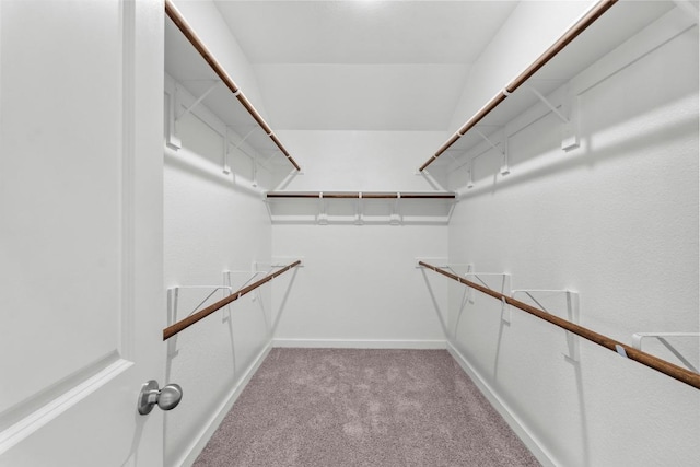 225 Lambert St, Leander, TX 78641 - spacious closet featuring light colored carpet