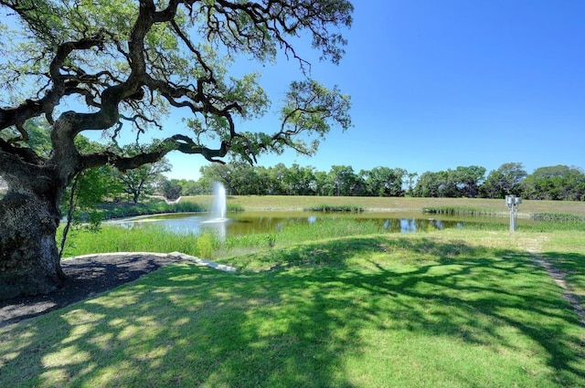 225 Lambert St, Leander, TX 78641 - view of green lawn with a water view
