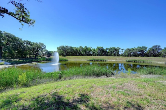 225 Lambert St, Leander, TX 78641 - water view