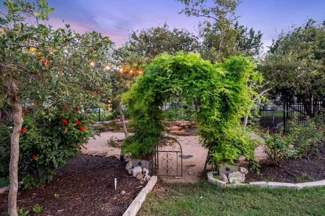 1821 Gilded Crest Dr, Leander, TX 78641 - view of yard