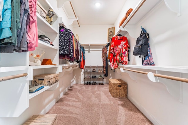 1821 Gilded Crest Dr, Leander, TX 78641 - walk in closet with carpet