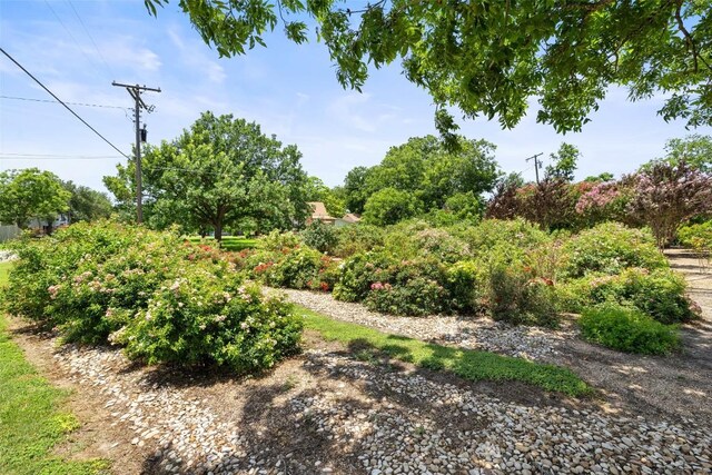 104 S 1st St, Thorndale, TX 76577 - photo 28