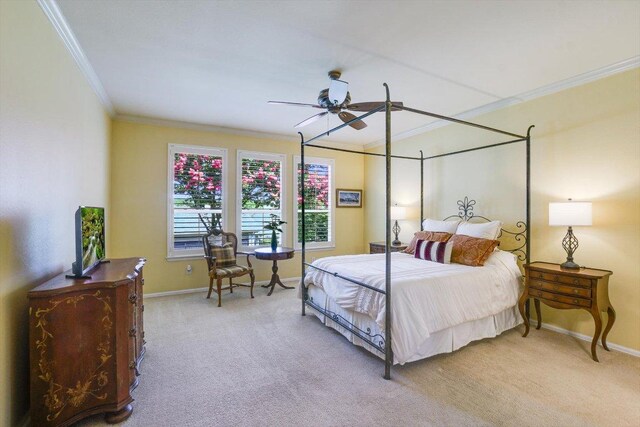 203 Mustang Island Trl, Georgetown, TX 78633 - photo 13