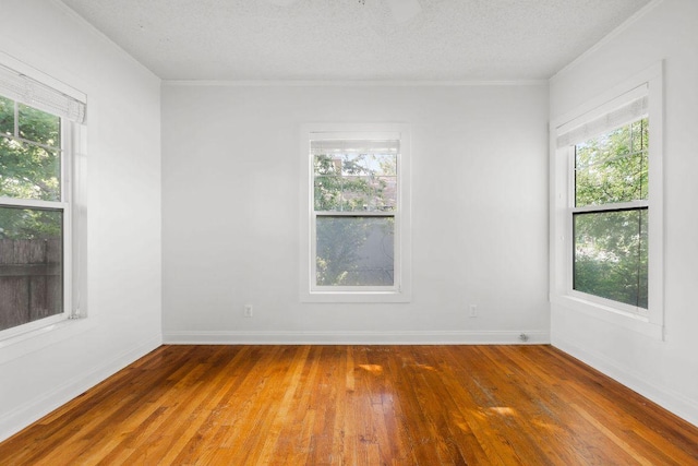 506 W 51st St Unit A, Austin, TX 78751 - empty room with hardwood / wood-style floors, plenty of natural light, crown molding, and a textured ceiling